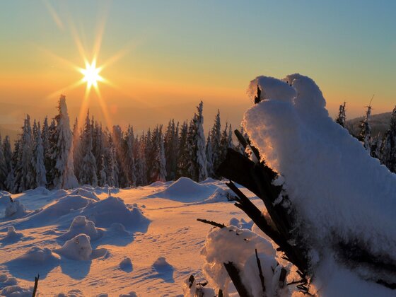 Magnificent Snow Tours